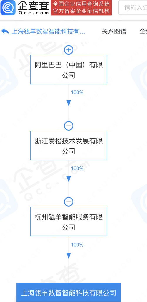阿里巴巴旗下瓴羊數智科技公司落戶上海，加速數據處理與存儲服務布局