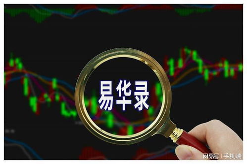 易華錄 數據湖與數據安全領域的璀璨明星